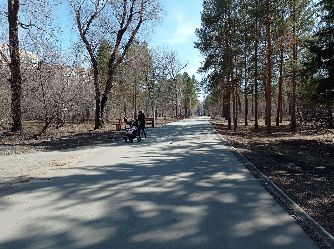 В омском парке «Зеленый остров» высадят около 400 деревьев #Омск #Общество #Сегодня