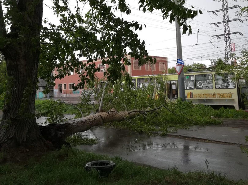 На трамвай в Омске упало дерево #Омск #Общество #Сегодня