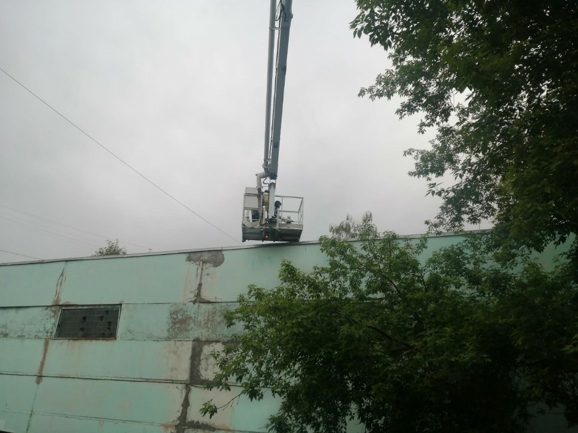 Омский подросток на спор залез на крышу по дереву, а слезть не смог #Омск #Общество #Сегодня