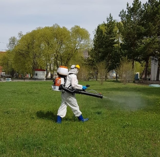 Более 100 зеленых зон Омска обработали от клещей #Омск #Общество #Сегодня