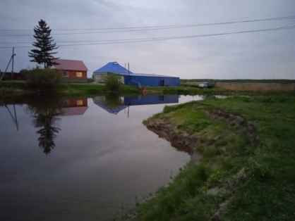 В Омской области девочка полезла в реку за удочкой и утонула #Новости #Общество #Омск