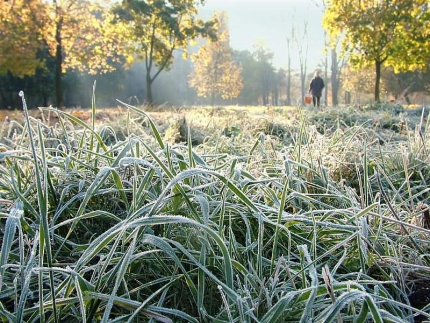 В Омской области похолодает до –5 градусов #Омск #Общество #Сегодня