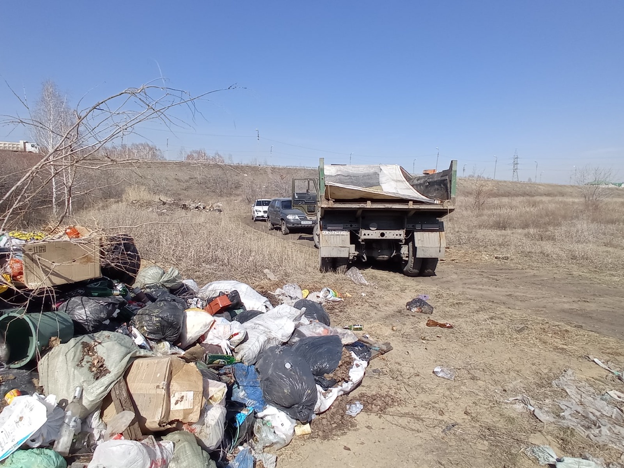 Штрафы за выброс мусора в неположенном месте резко выросли #Новости #Общество #Омск