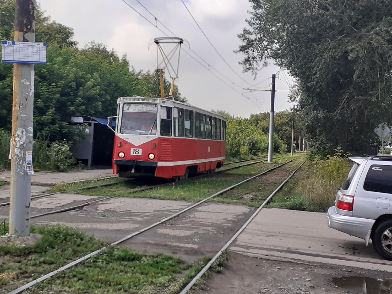 Трава по пояс: Омск превращается в город-джунгли #Омск #Общество #Сегодня Трава по пояс: Омск превращается в город-джунгли #Омск #Общество #Сегодня