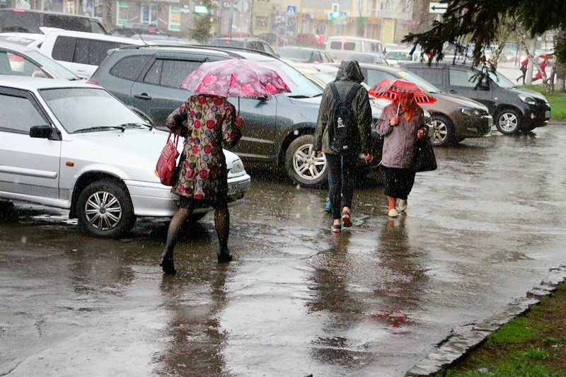 В Омскую область вновь вернутся дожди и грозы #Новости #Общество #Омск В Омскую область вновь вернутся дожди и грозы #Новости #Общество #Омск