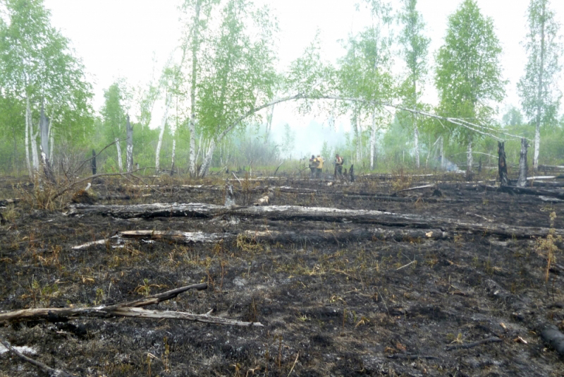 За выходные в Омской области произошло два лесных пожара #Омск #Общество #Сегодня