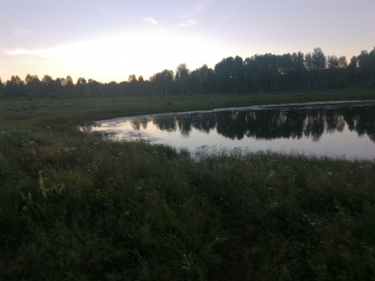 Житель Омской области решил искупаться в озере и утонул #Омск #Общество #Сегодня
