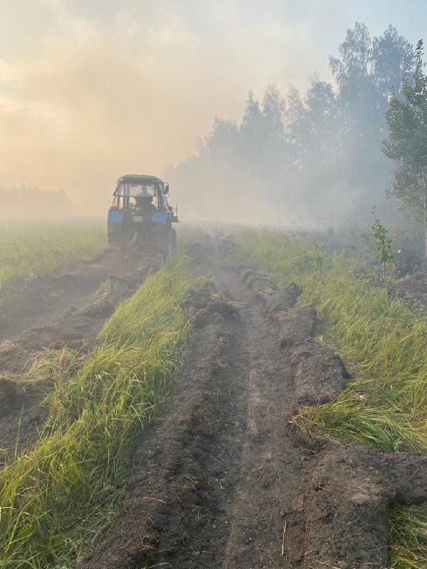 В Омской области произошел очередной лесной пожар #Омск #Общество #Сегодня