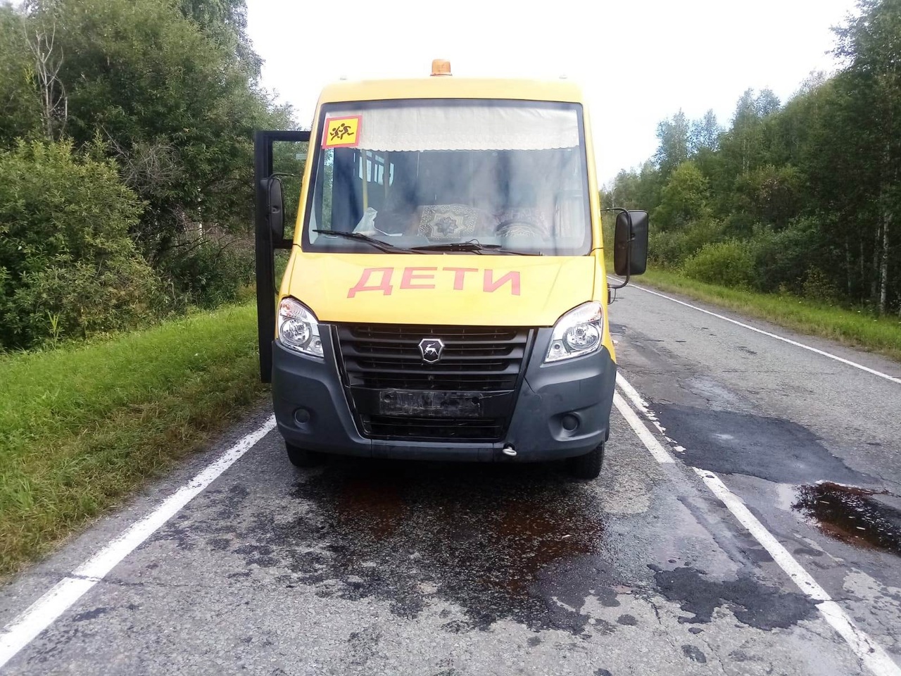 В Омской области водитель школьного автобуса сбил насмерть косулю #Омск #Общество #Сегодня