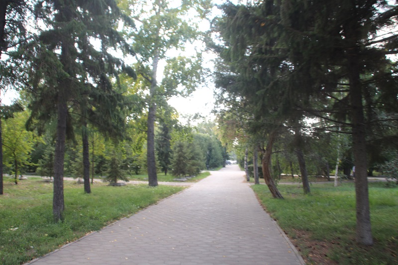 Шок по-омски: ТОП-10 самых страшных благоустроенных скверов и парков #Омск #Общество #Сегодня