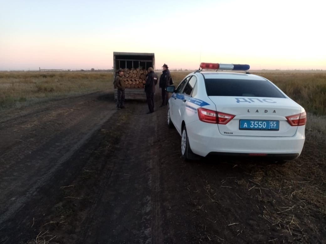 Житель Омской области нарубил берез, но они не пригодились #Омск #Общество #Сегодня Житель Омской области нарубил берез, но они не пригодились #Омск #Общество #Сегодня