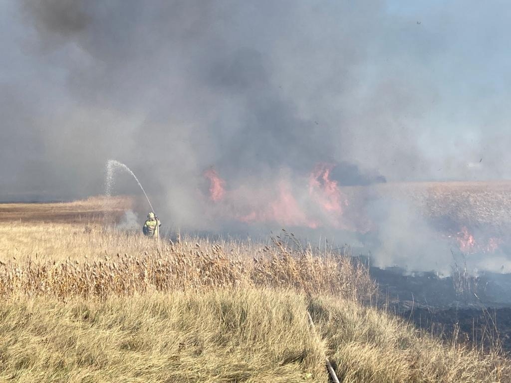 В Омской области огонь от горящей травы чуть не перекинулся на село #Омск #Общество #Сегодня