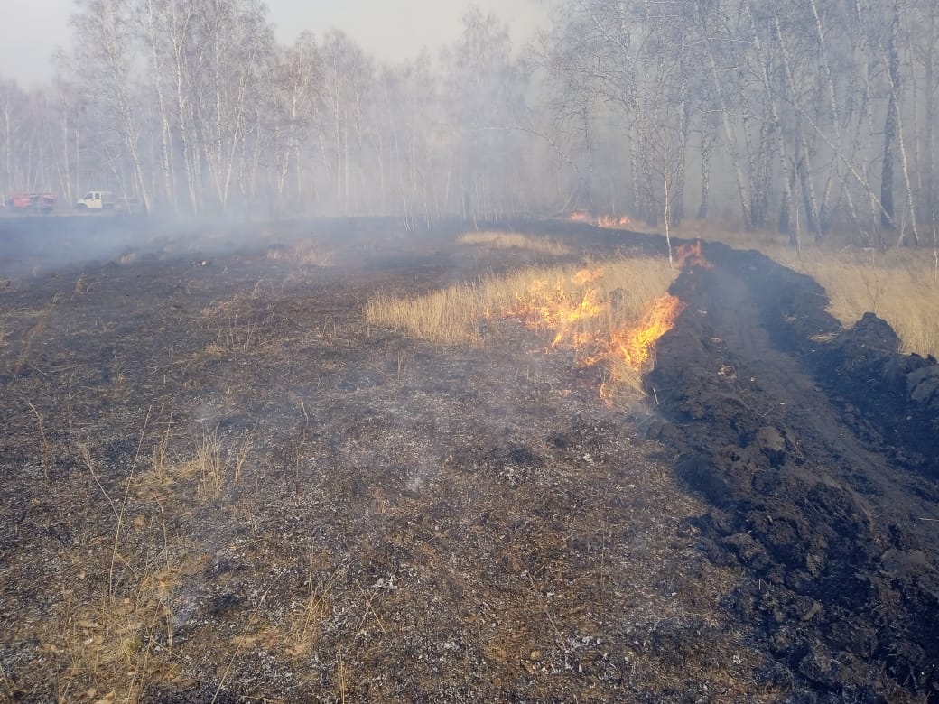 Из-за пожаров в Называевском районе ввели режим повышенной готовности #Новости #Общество #Омск