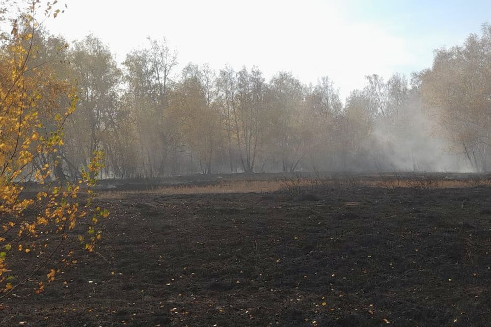 За выходные в Омской области произошло три крупных пожара #Омск #Общество #Сегодня