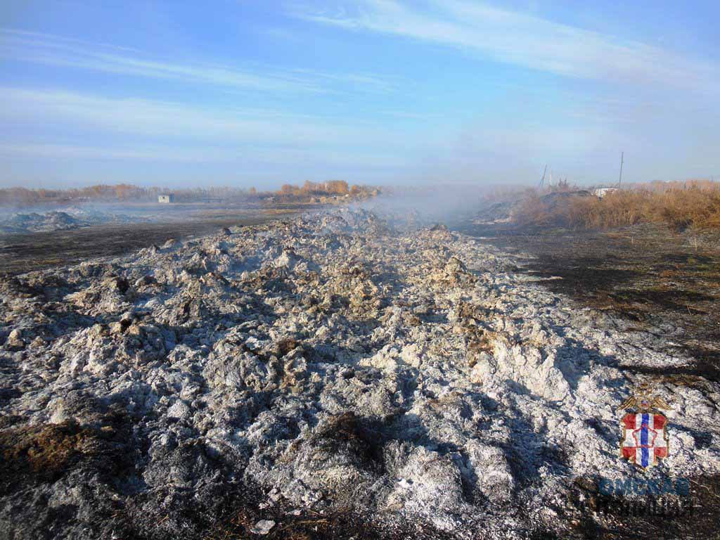 Житель Омской области решился на поджог, чтобы сделать фермера менее богатым #Омск #Общество #Сегодня