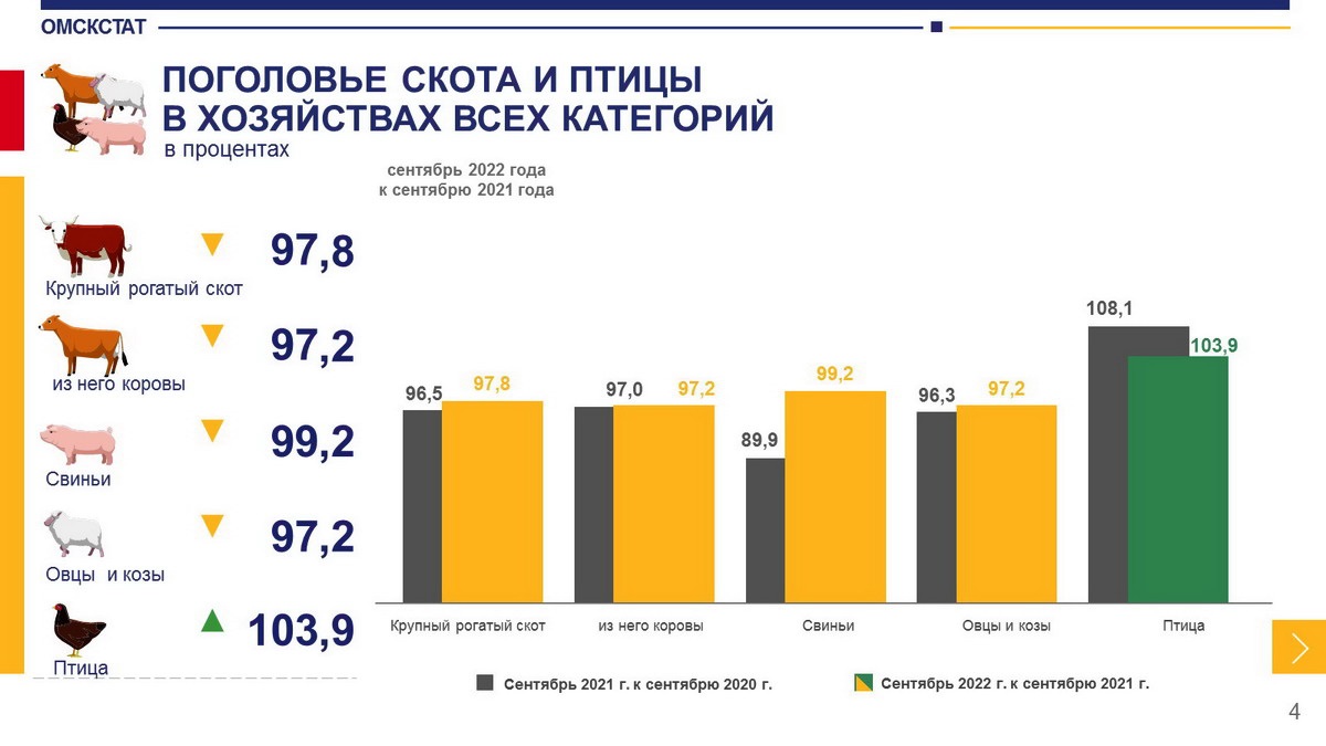 Молока в Омской области производят все меньше