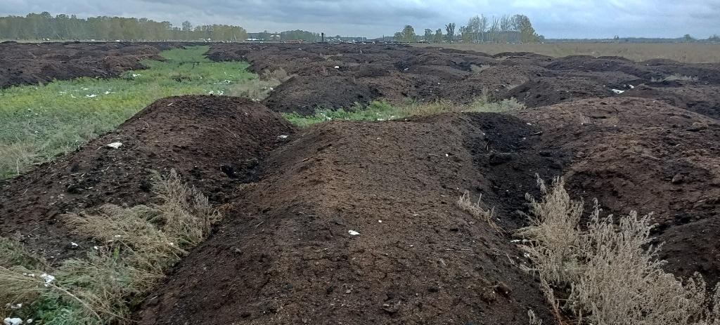 Под Омском нашли огромное поле с куриным пометом #Новости #Общество #Омск Под Омском нашли огромное поле с куриным пометом #Новости #Общество #Омск