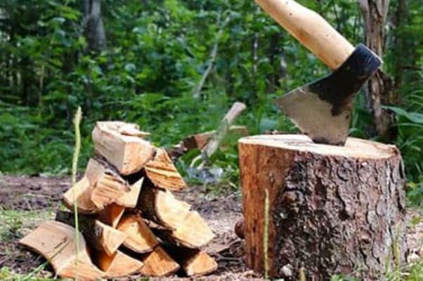 Омские лесхозы передали мобилизованным 2 тысячи кубометров дров #Омск #Общество #Сегодня Омские лесхозы передали мобилизованным 2 тысячи кубометров дров #Омск #Общество #Сегодня