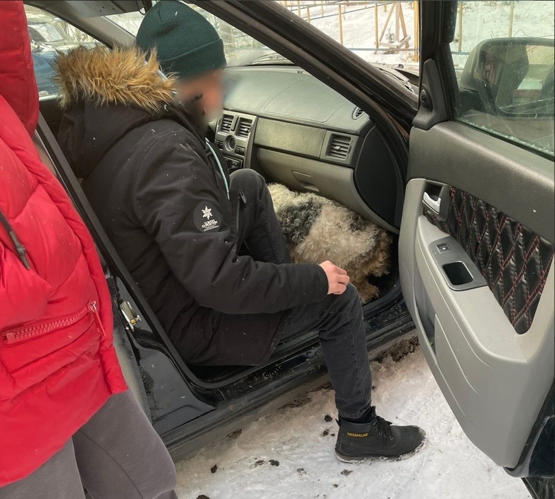 В Омске спасли собаку, три дня просидевшую в машине #Омск #Общество #Сегодня