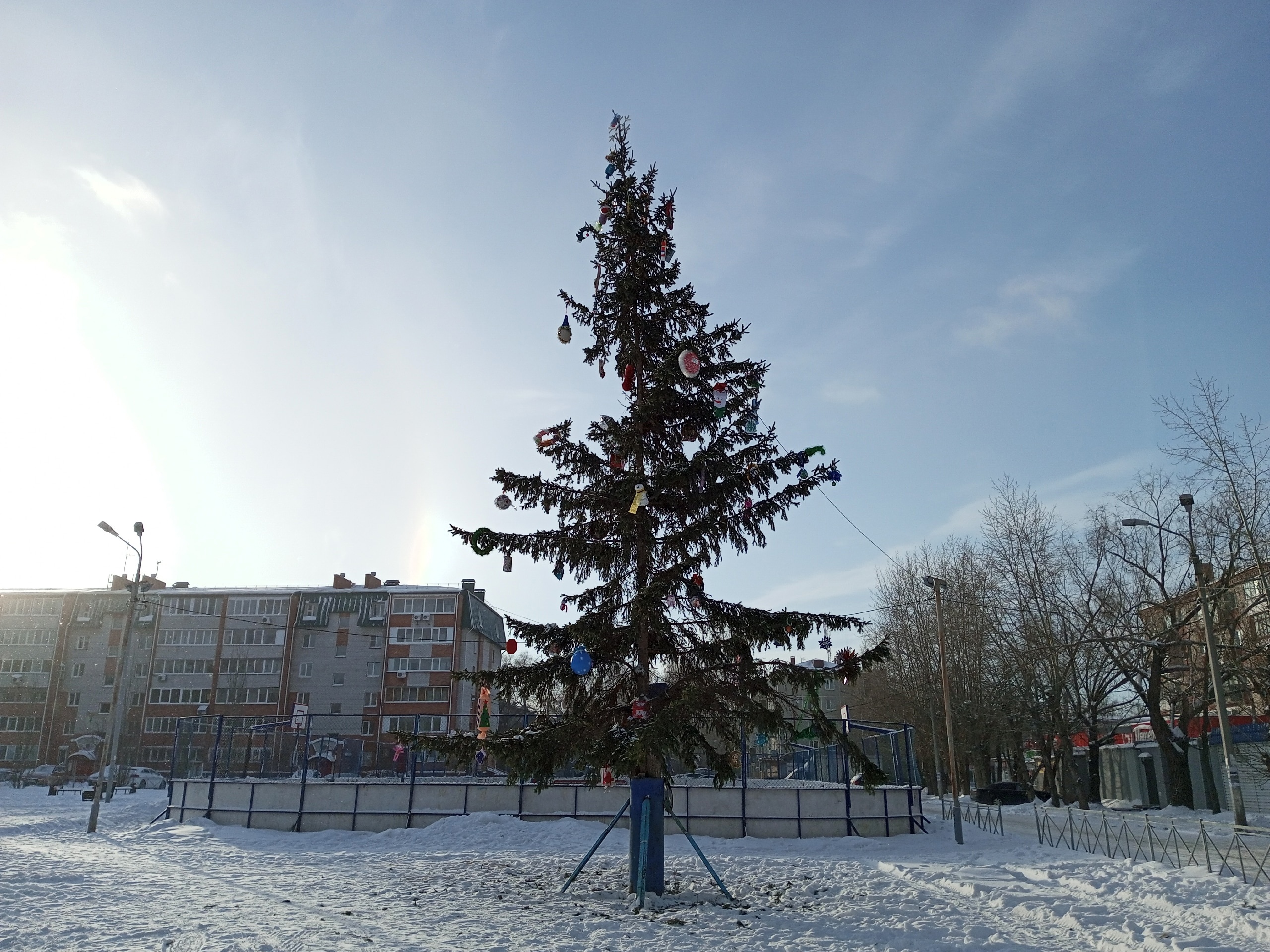 Спиленная в Омске 15-метровая ель угрожала дому – мэрия #Новости #Общество #Омск Спиленная в Омске 15-метровая ель угрожала дому – мэрия #Новости #Общество #Омск