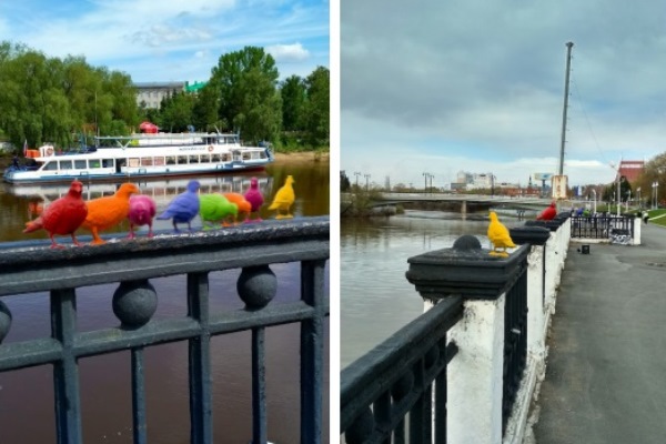 Шелест выступил против радужных голубей на набережной в центре Омска #Омск #Общество #Сегодня Шелест выступил против радужных голубей на набережной в центре Омска #Омск #Общество #Сегодня