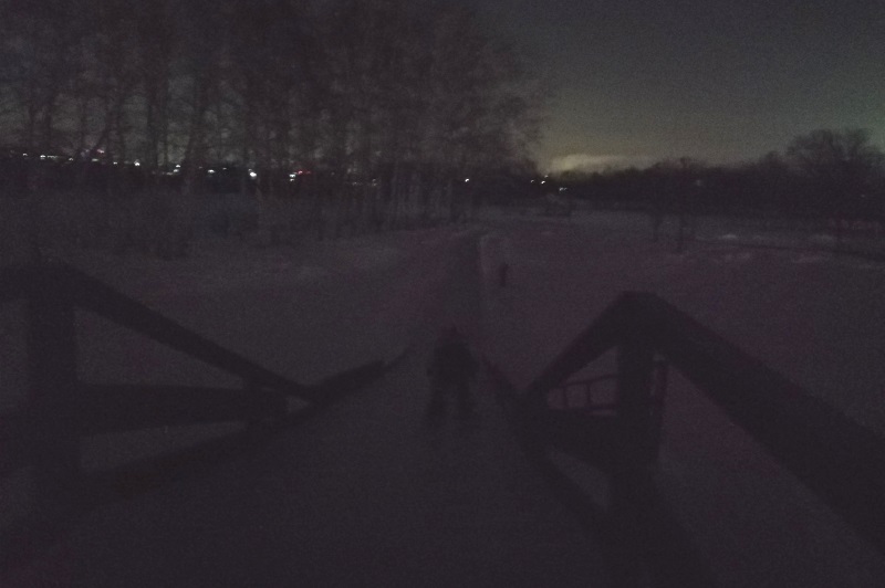 Омский парк «Птичья гавань» погрузился в темноту #Новости #Общество #Омск