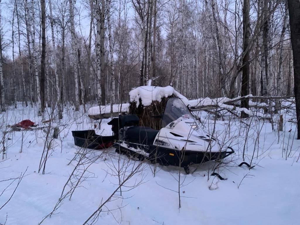 Омич убил спящего лося и тут же начал его разделывать #Омск #Общество #Сегодня Омич убил спящего лося и тут же начал его разделывать #Омск #Общество #Сегодня
