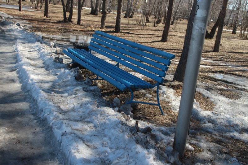 В омском парке хотят ввести суточные абонементы #Омск #Общество #Сегодня