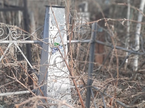 Главное кладбище Омска превратилось в непролазный лес #Омск #Общество #Сегодня