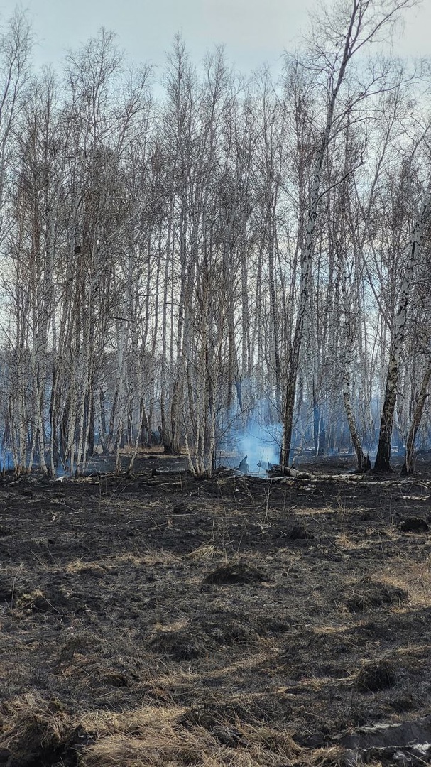 Тушить лесные пожары в Омской области помогают добровольцы #Омск #Общество #Сегодня