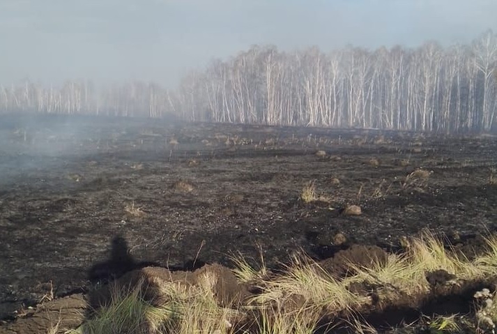 В Омской области бушует сильный лесной пожар #Новости #Общество #Омск В Омской области бушует сильный лесной пожар #Новости #Общество #Омск