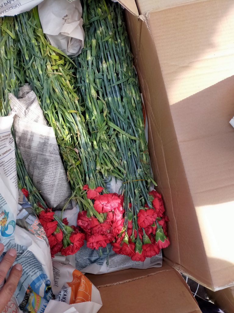 Житель Казахстана пытался провезти в Омск 3 тысячи гвоздик в багаже #Новости #Общество #Омск
