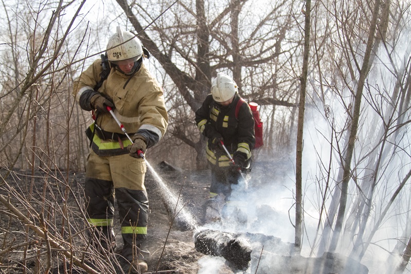 В Омской области бушуют 8 лесных пожаров #Омск #Общество #Сегодня В Омской области бушуют 8 лесных пожаров #Омск #Общество #Сегодня