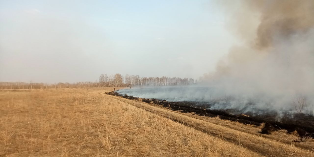 В районе Омской области ввели ЧС из-за лесных пожаров #Новости #Общество #Омск В районе Омской области ввели ЧС из-за лесных пожаров #Новости #Общество #Омск