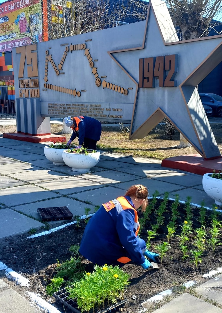 Мерзлая земля: успеют ли Омск засадить цветами перед Днем Победы? #Новости #Общество #Омск