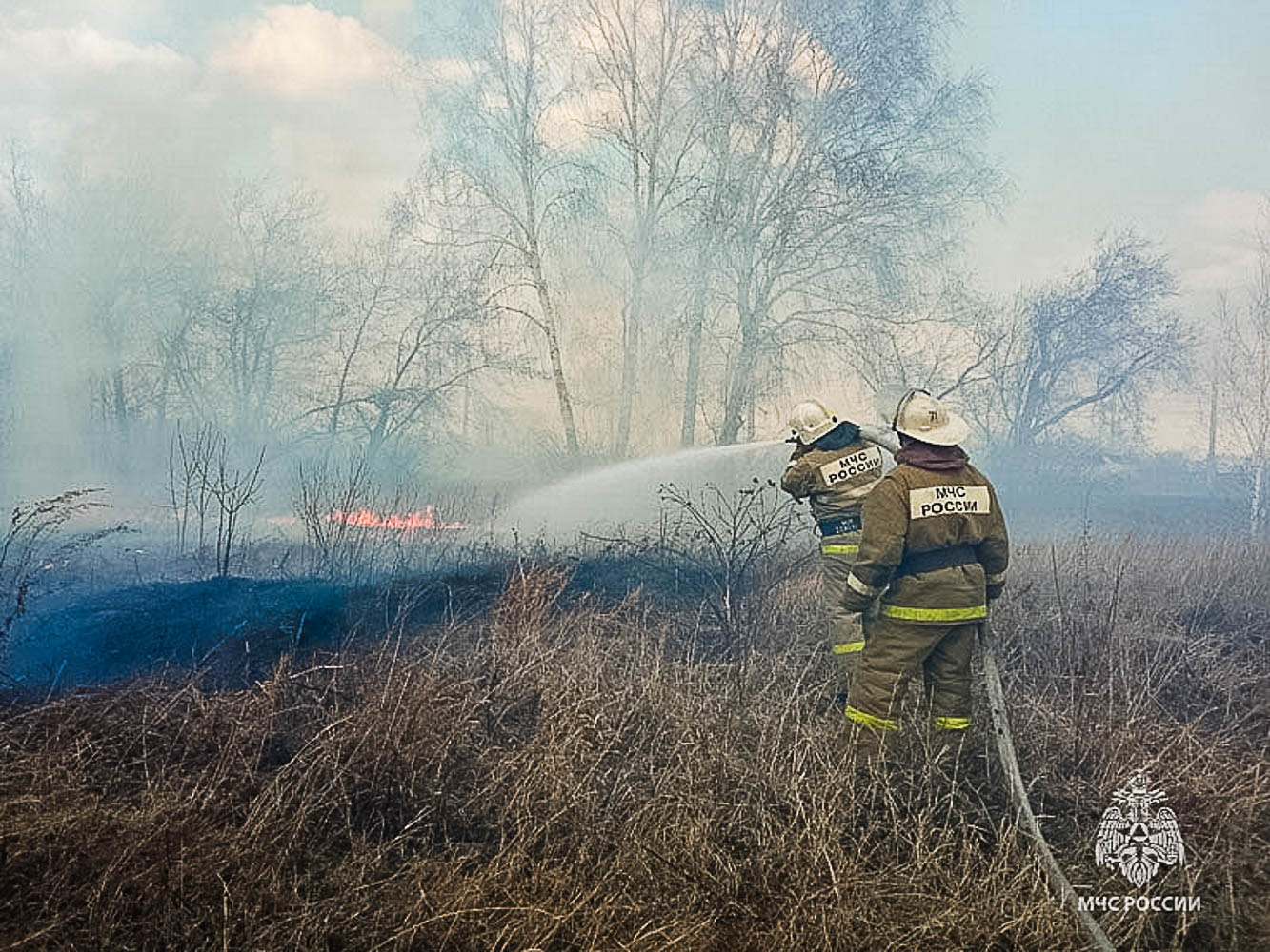 На юге Омской области прогнозируют чрезвычайную пожарную опасность #Новости #Общество #Омск