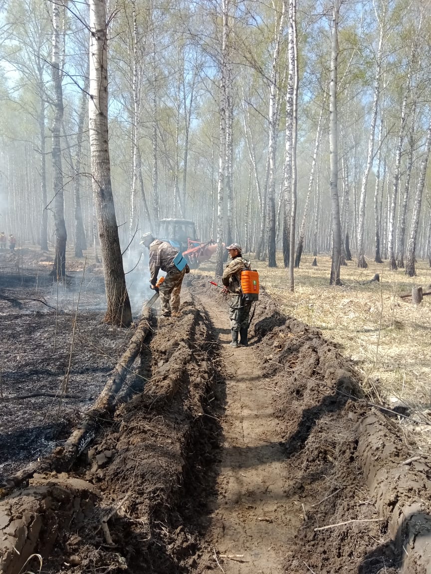 На выходных леса в Омской области горели 10 раз #Новости #Общество #Омск На выходных леса в Омской области горели 10 раз #Новости #Общество #Омск