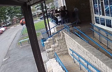 В Омске мужчина напал с молотком на школьников #Омск #Общество #Сегодня В Омске мужчина напал с молотком на школьников #Омск #Общество #Сегодня