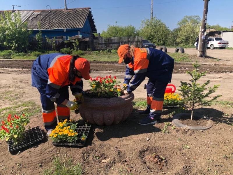 В Омске высадили полмиллиона цветов #Новости #Общество #Омск В Омске высадили полмиллиона цветов #Новости #Общество #Омск