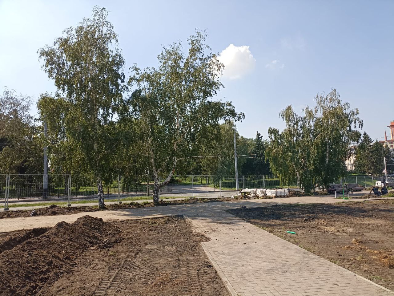 Омский мэр показал, какие деревья высадят в центре города вместо срубленных #Омск #Общество #Сегодня