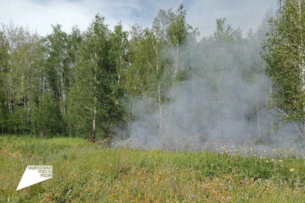 В Омской области произошел первый лесной пожар августа #Омск #Общество #Сегодня