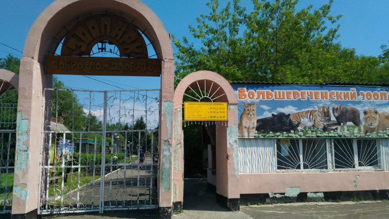 В Большереченском зоопарке может появиться орангутанг #Новости #Общество #Омск