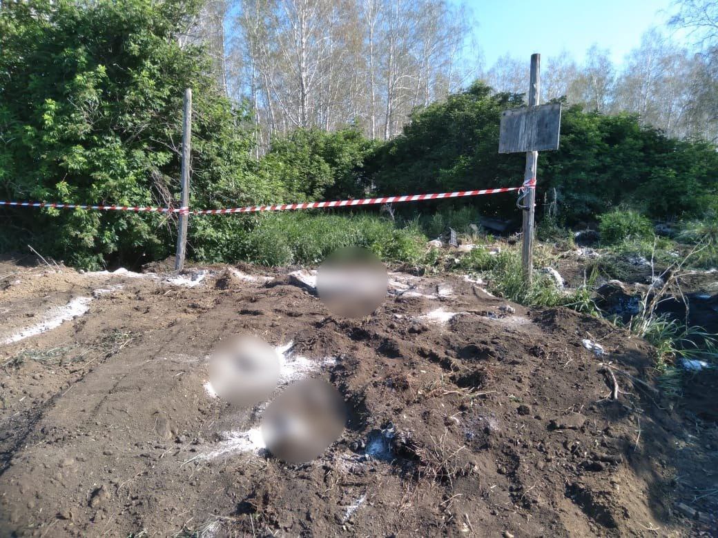 В Омской области могут исчезнуть все скотомогильники #Новости #Общество #Омск В Омской области могут исчезнуть все скотомогильники #Новости #Общество #Омск