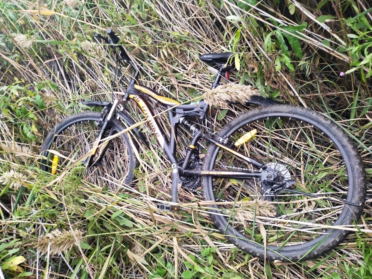 Житель Омской области украл два велосипеда и спрятал их в траве #Омск #Общество #Сегодня