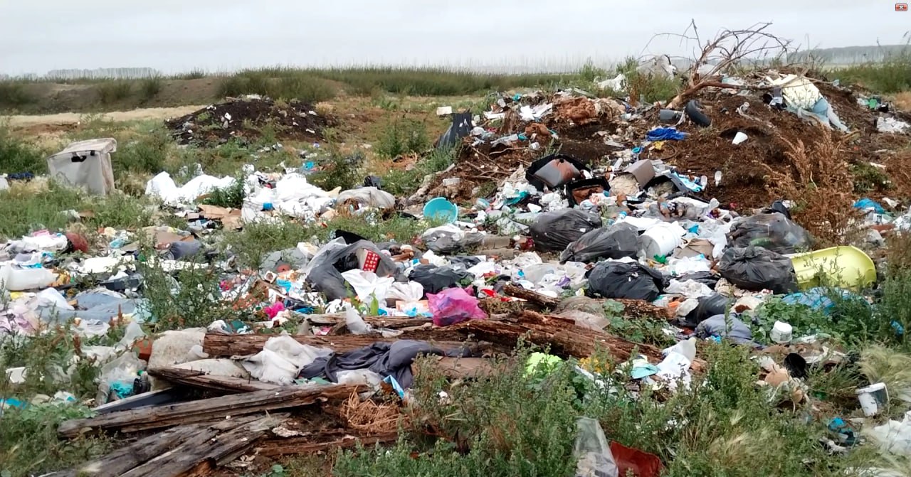 В районе Омской области нашли незаконные свалку и скотомогильник #Новости #Общество #Омск В районе Омской области нашли незаконные свалку и скотомогильник #Новости #Общество #Омск