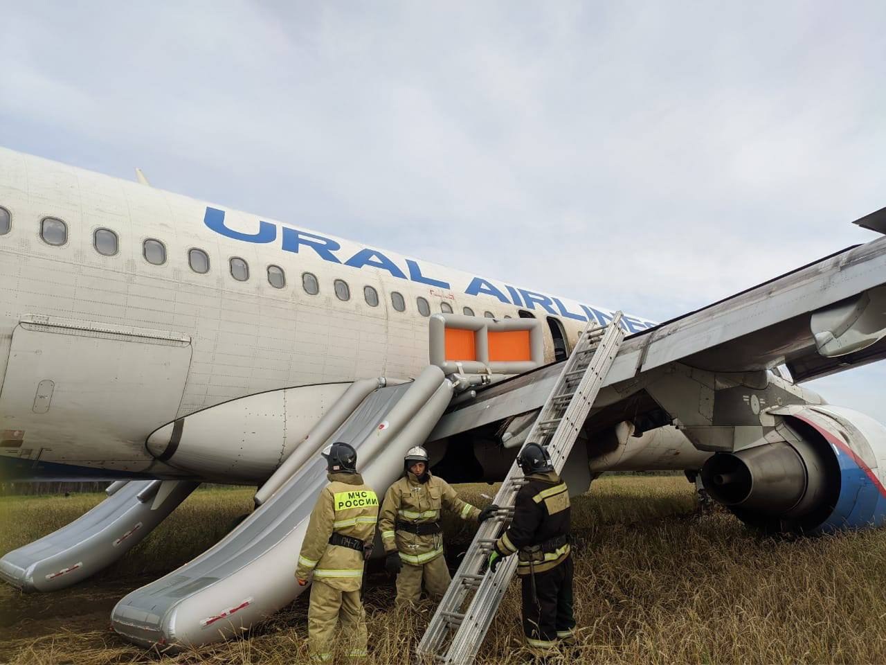 МЧС опубликовало видео с места аварийной посадки самолета Сочи – Омск #Омск #Общество #Сегодня