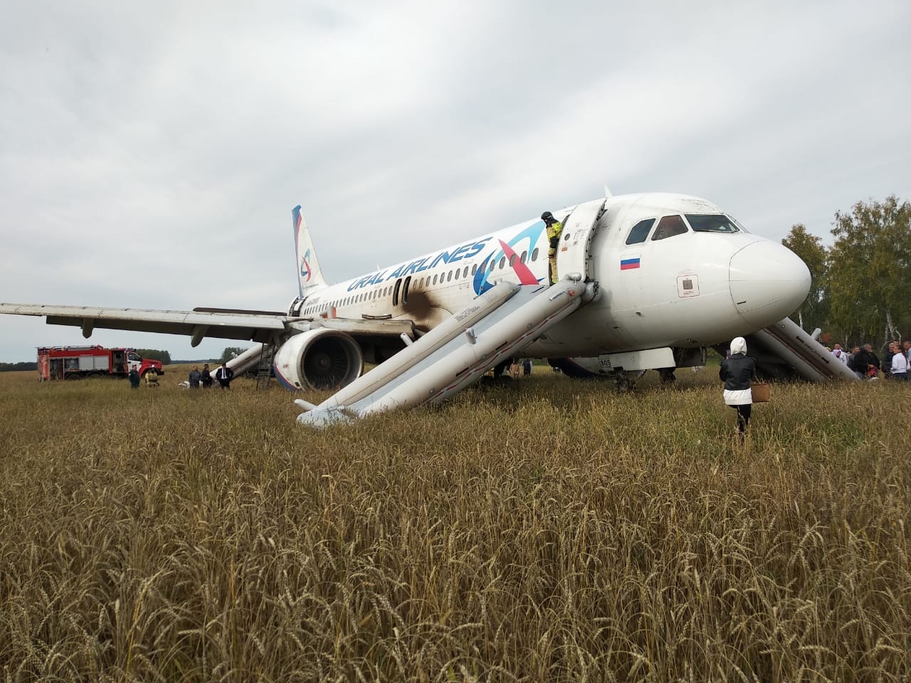 Авиаэксперты раскритиковали действия пилотов, которые посадили самолет Сочи – Омск в поле #Новости #Общество #Омск