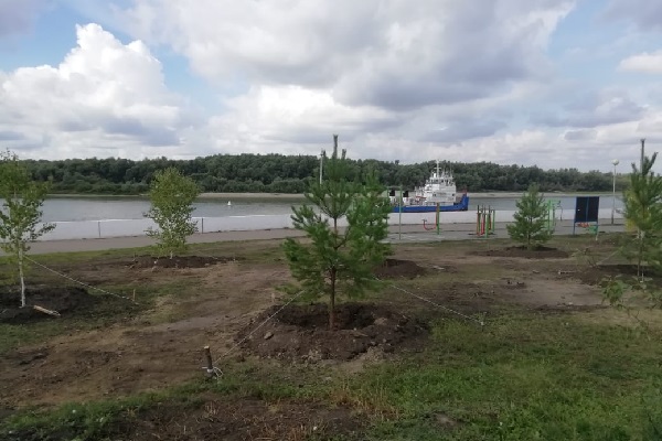 Омские власти закупят саженцы за 18 миллионов #Новости #Общество #Омск Омские власти закупят саженцы за 18 миллионов #Новости #Общество #Омск