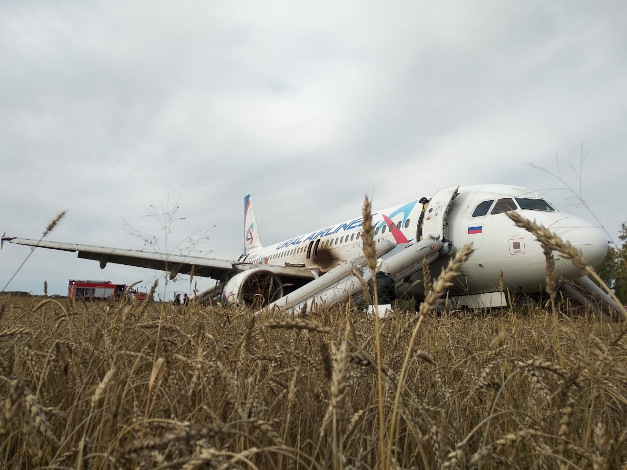 «Уральские авиалинии» заплатят за испорченное поле, на которое сел самолет #Новости #Общество #Омск