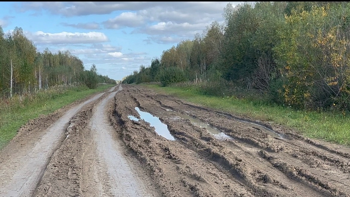 Омичи пожаловались на ужасное состояние дороги, по которой ходили каторжники #Новости #Общество #Омск